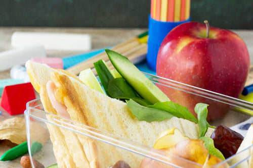 8 Properties of Durable Plastic Food Containers