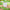 S25 - Biodegradable